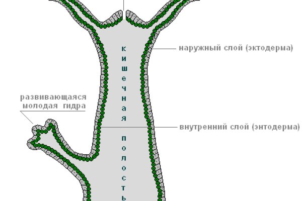 Кракен 15 сайт