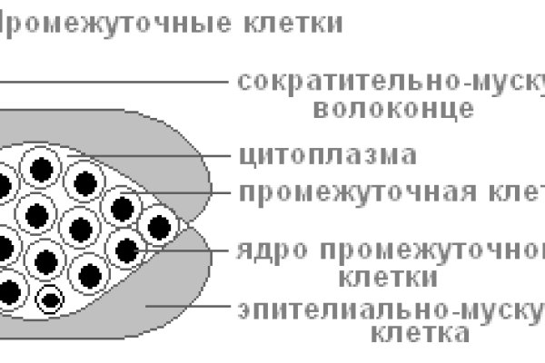 Kraken ссылка tor официальный сайт